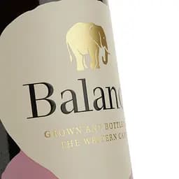 Вино Overhex Wines Balance Classic Pinotage Shiraz, червоне, сухе, 13,5%, 0,75 л (8000015201911) - мініатюра 3