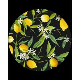 Картина по номерам Brushme Лимонное дерево (Размер L) 40x40 см