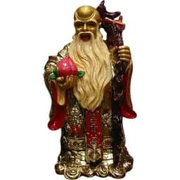 Шоусин золотистий 60 см