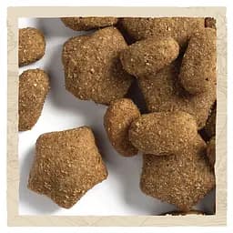 Сухий корм для собак з чутливим травленням Dog Chow Sensitive Adult 1+, з лососем, 2,5 кг - мініатюра 6