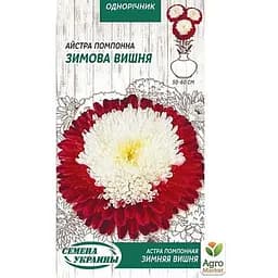 Семена Астра Насіння України Помпонная Зимняя вишня 0.25 г (771400)