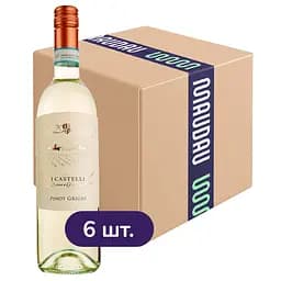 Упаковка вина I Castelli Pinot Grigio біле сухе 4.5 л (0.75 л х 6 шт.)
