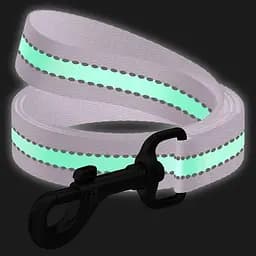 Повідець для собак Waudog Nylon нейлоновий, світонакоплювальний, фіолетовий - мініатюра 3