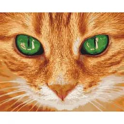 Картина за номерами ArtCraft Зелені очі 40х50 см 11620-AC