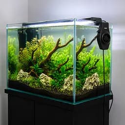 Модуль охолодження для акваріума Hobby Aqua Cooler V1 12V 1 вентилятор 10-50 л (10950) - мініатюра 4