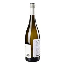 Вино iгристе Daniele Saccoletto Moscato EVViva, 0,75 л, 5% (707743) - мініатюра 2