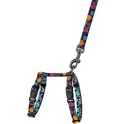 Шлея для котів та собак дрібних порід BronzeDog Urban Art Диско з повідцем XXS 15-23 см