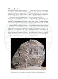 Runes Illustrated - Ньюкомб Рейчел - мініатюра 2