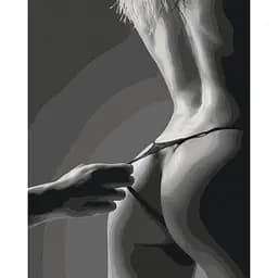 Картина по номерам "Горячие тени" Brushme BS54351, 40х50 см