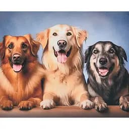 Алмазная мозаика Strateg ПРЕМИУМ Три верных друга размером 40х50 см (SK88269)