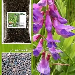 Вика оврага ТМ "Весна" 1кг (13701)