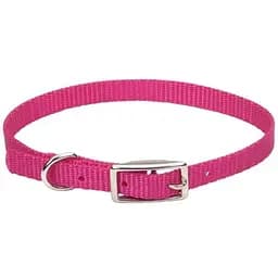 Ошейник для собак Coastal Nylon Web 1х25 см (00301_PKF10)