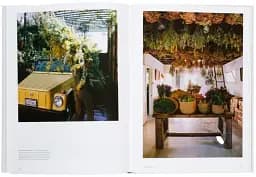 The Avant Gardens - мініатюра 9