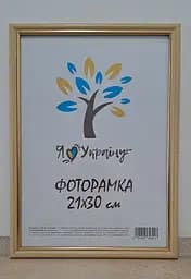 Фоторамка 21Х30, (А4), бежевая с золотой вставкой, 1515-7104, СТЕКЛО + КАРТОН