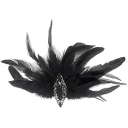 Брошка Чорна Пташка