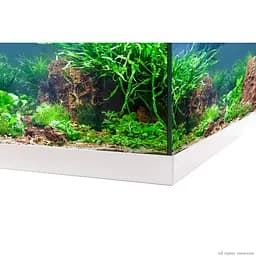 Акваріумний комплект Eheim aquastar 54 LED білий (0340646) - мініатюра 7