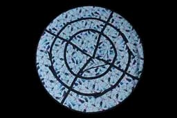 Тюбінг (надувні санки) Frozen, блакитний, 100 см