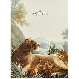 Зошит загальний Student сім'я тигрів А4 в лінію 48 аркушів (A4-048-5079L)