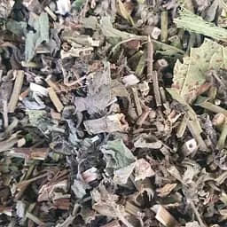 100 г котовник/кошачья мята трава сушеная - свежий урожай