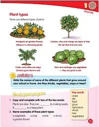 Macmillan Science 2 Student's Book & eBook - мініатюра 3