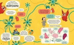 Книжка про мозок і те, як він працює - мініатюра 6