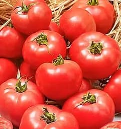 Насіння Весна на вагу Томат Шанс ціна за 1 г (178275)