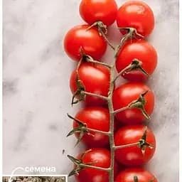 Семена Весна на развес Томат Зимняя вишня цена за 1 г (49398)