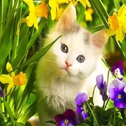 Алмазна мозаїка за номерами повна викладка на підрамнику Перші квіти 30 * 30 см