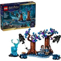Конструктор LEGO Harry Potter Заборонений ліс: Експекто патронум (76475)