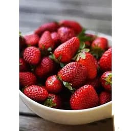 Саджанець Agro-Market Полуниця Венді (Wendy) 5шт (ультраранній термін дозрівання) (25731)