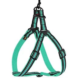 Шлея для собак Bronzedog Mesh Стандарт, размер L, 58-71х2,5 см, ментоловая
