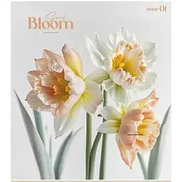 Зошит загальний Школярик Colour Mix у клітинку 48 аркушів 10 шт. (048-3312K)