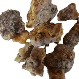 100 г живиця\соснова смола суха - свіжий урожай