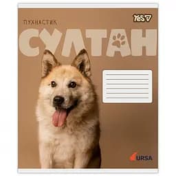 Набір зошитів Yes Ursa 18 аркушів у клітинку 25 шт. (768954) - мініатюра 2