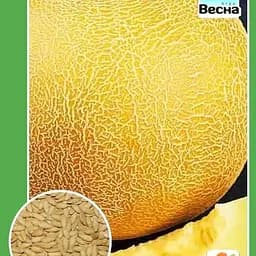 Дыня "Медовый аромат" ТМ "Весна" 1.5г (10138)
