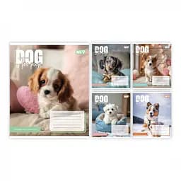 Набір зошитів Yes Dog Too Pup клітинка 12 аркушів 25 шт 768731