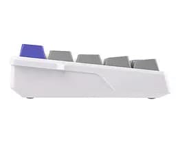 Клавіатура ігрова механічна AULA WIN-68 HE Max White-Blue Magnetic switch ENG/UKR - мініатюра 3