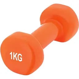 Гантель виниловая Achilles PowerPlay PP_4125 1 кг Оранжевый