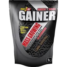 Гейнер Power Pro Gainer Шоколад 1 кг