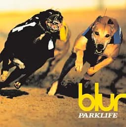 Вініловий диск BLUR PARKLIFE