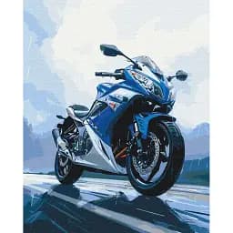 Картина за номерами Brushme Свобода на Колесах 40x50 см