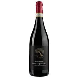 Вино La Sogara Amarone della Valpolicella Docg, 15%, 0,75 л (ALR16001) - мініатюра 2