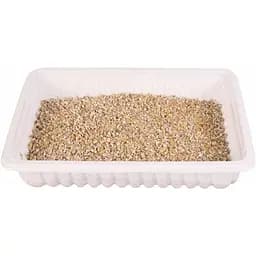 Трава для котів та кошенят Trixie Soft Grass насіння ячменю, в контейнере, 100 г - мініатюра 2