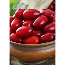 Саджанець Agro-Market Кизил темно-червоний Полум'я пристрасті (Flame of passion) (преміальний морозостійкий сорт) 1 шт. в упаковці (45987)