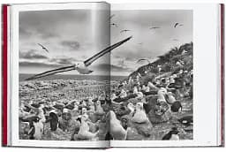 Sebastiao Salgado. Genesis. 45th Edition - мініатюра 5