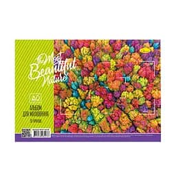 Альбом для малювання Апельсин АП-П-120-30 на пружині Beautiful nature