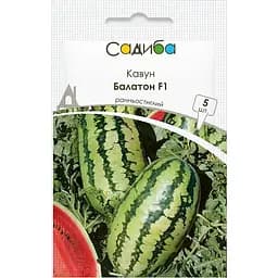 Арбуз Садиба Балатон F1 5 шт. 