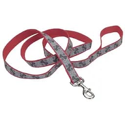 Coastal Lazer Brite Reflective Leash лазер брайт светоотражающий поводок для собак 1.6см х 1.2м (SP46464_RPP04)