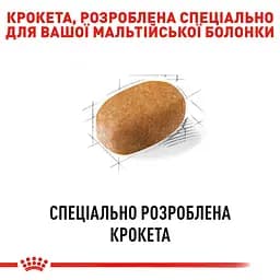 Сухий корм для собак породи мальтійська болонка Royal Canin Maltese Adult, 0,5 кг (3995005) - мініатюра 2