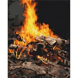 Картина по номерам Brushme Костер 40x50 см